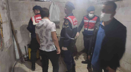 Tek tırnaklı hayvan kesen baba oğula suçüstü