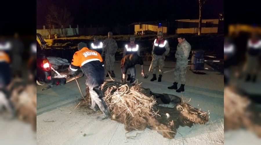 500 kilo ölü inci kefali ele geçirildi