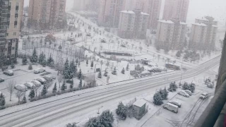 Ankara'da kar ya balad