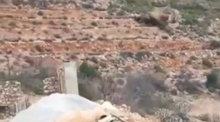 Antalya'da dağdan gelen kaya paniği