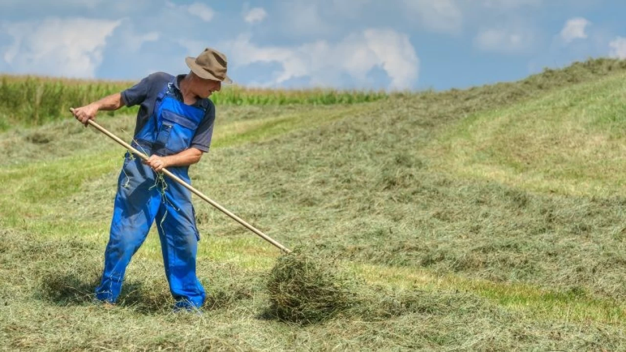Avrupa çiftçi dernekleri Ukrayna ürünlerine sınırlama istiyor