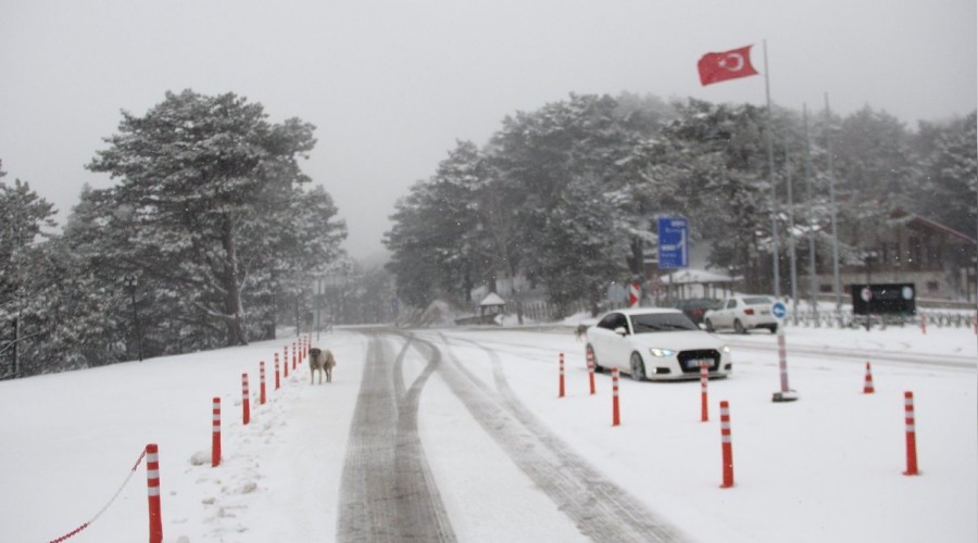 Erzurum'da araçların yakıt depoları dondu