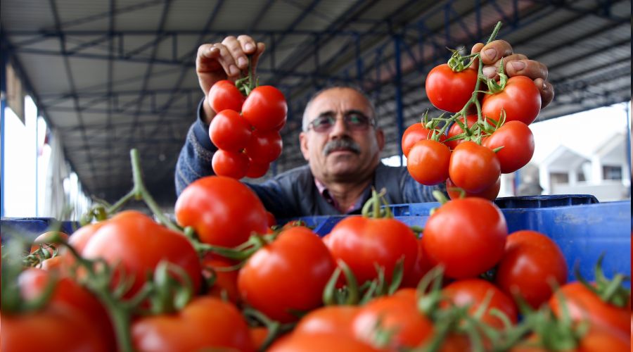 İhracat durdu, fiyatlar düştü