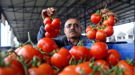İhracat durdu, fiyatlar düştü