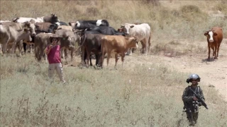 srailliler, Bat eria'da Filistinli obanlara saldrd