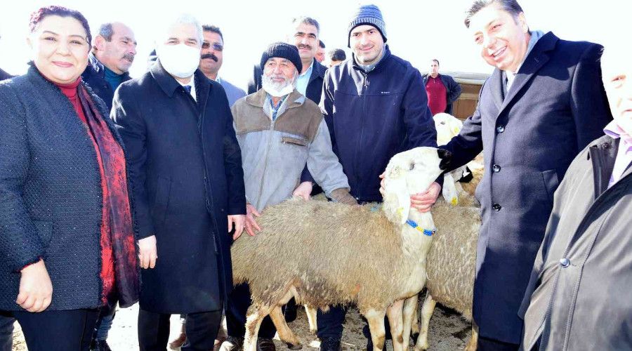 Kırşehir'de çiftçilere hayvan desteği