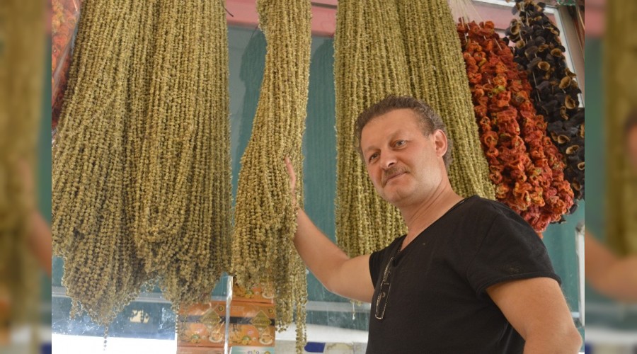 Kurutulunca fiyatı 10 kat artıyor