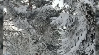 Mart ayında dondurucu soğuklar: Göle eksi 15
