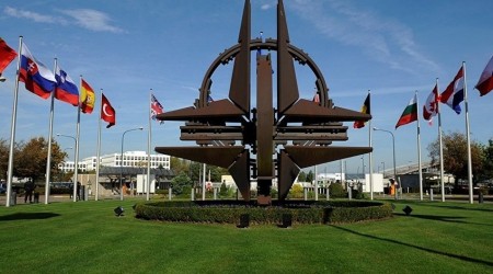 NATO'yu eleştirmek suç olacak