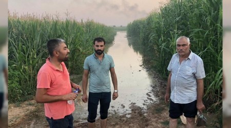 Suruç'ta 5 bin dönüm tarım arazisi sular altında