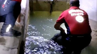 Tarsus'ta sulama kanalnda erkek cesedi bulundu
