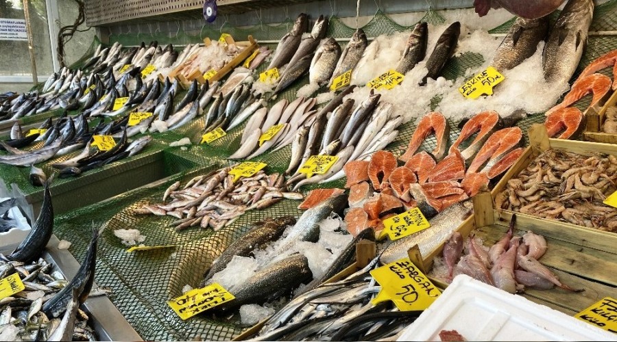 Tezgahlarda palamut bayramı