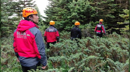 Uludağ'da kaybolan kadın aranıyor