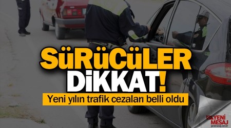 Yeni yılın trafik cezaları belli oldu