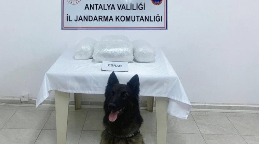 Yolcu otobüsünde 300 bin TL değerinde uyuşturucu bulundu