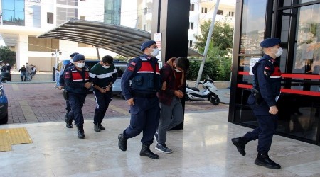 7 bin liralık avokado çaldılar