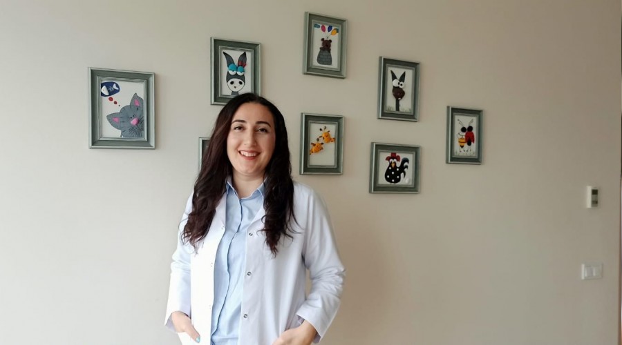 Alerjiye neden olan besinler