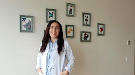 Alerjiye neden olan besinler