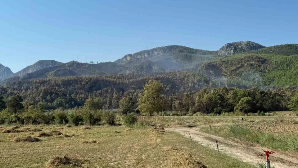 Antalya Serik'teki yangın büyük oranda kontrol altına alındı