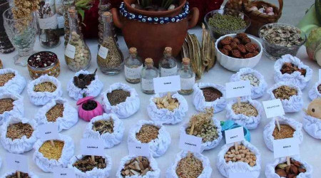 Artvin'de 'tohum takas şenliği' yapıldı