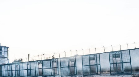 Barınak kapatıldı, hayvanlar sokağa salındı