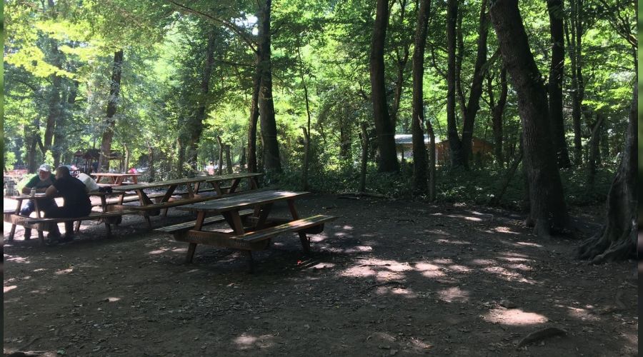 Belgrad Ormanı ıssızlığa büründü