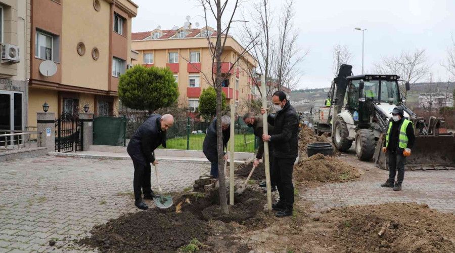 Büyükçekmece 2022 yılına 22 ıhlamur ağacı dikerek girdi