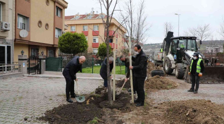 Büyükçekmece 2022 yılına 22 ıhlamur ağacı dikerek girdi