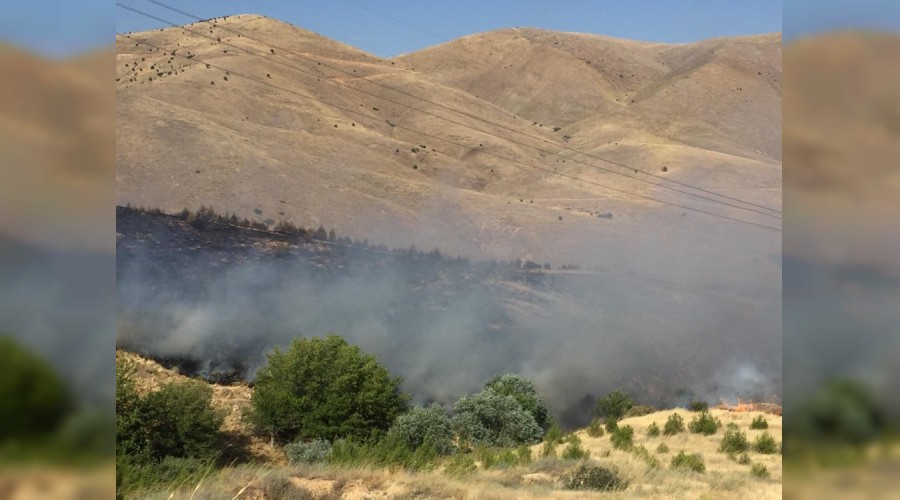 Elazığ'da orman yangını
