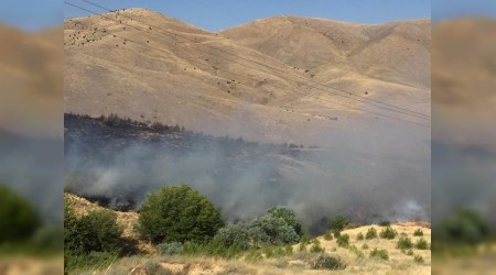 Elazığ'da orman yangını