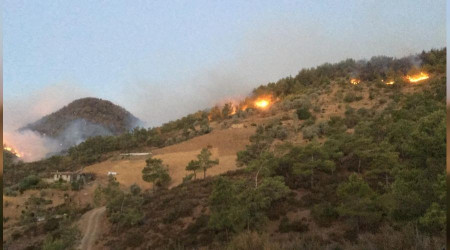 Gazipaşa'da 3 farklı noktada yangın çıktı