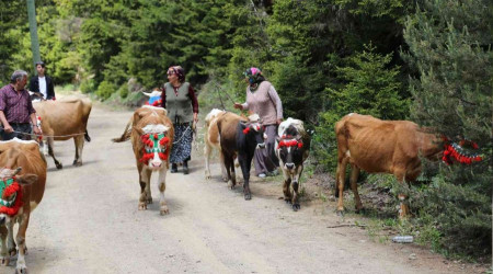 Gmhane'de yayla g balad