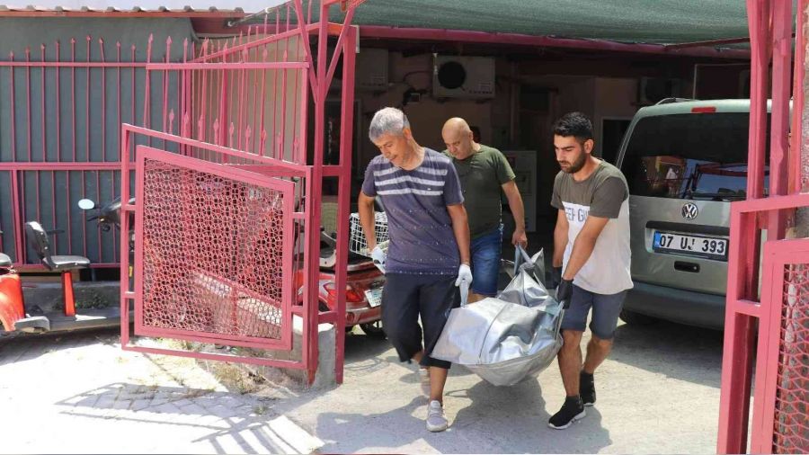 Hollandalı turist otelde ölü bulundu