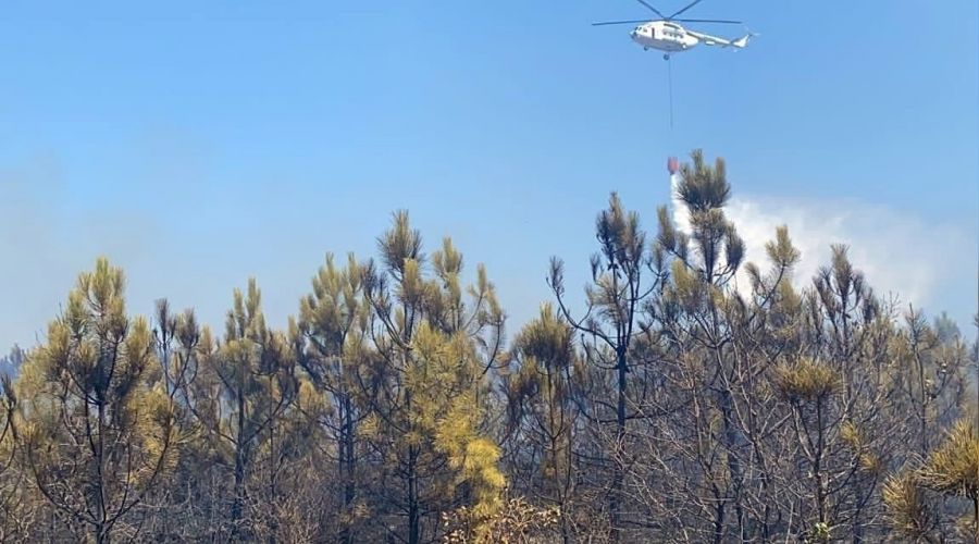 Orman yangının sebebi ATV aracı