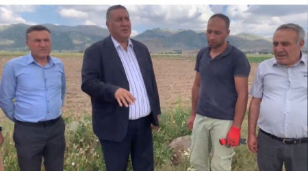 Patateste üretici ve tüketici kaybetti