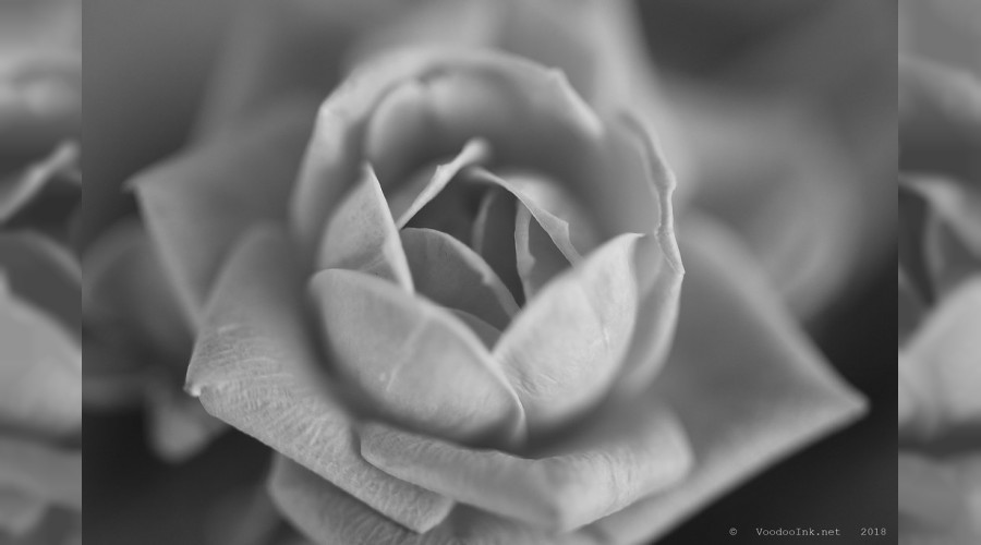 Resûlullah (s.a.v) âlemlere rahmettir