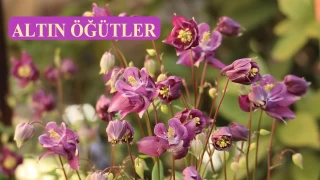 Rıza, kapıların en yücesidir