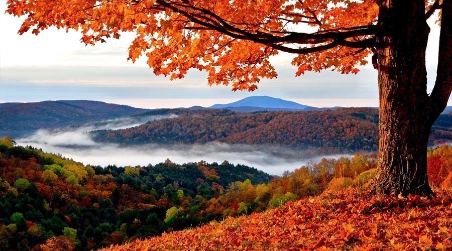 Sonbaharda seyahatin tadını çıkarabileceğiniz yurtiçi güzergahlar