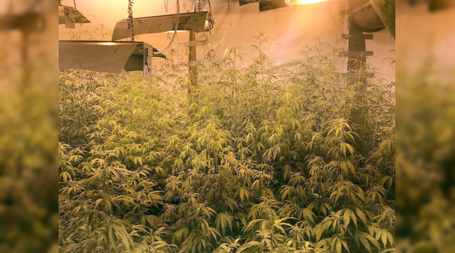 Uyuşturucu villalarına baskın