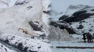 Van-Bahçesaray yoluna çığ düştü