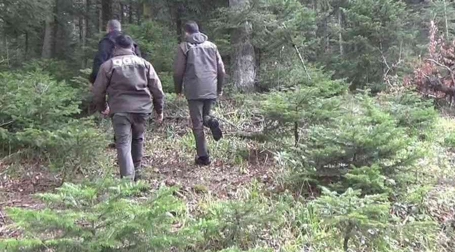 Yılbaşı öncesi orman memurları çam nöbetinde