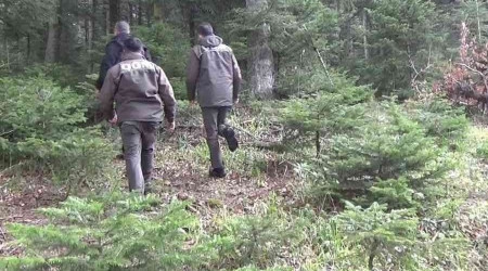 Yılbaşı öncesi orman memurları çam nöbetinde