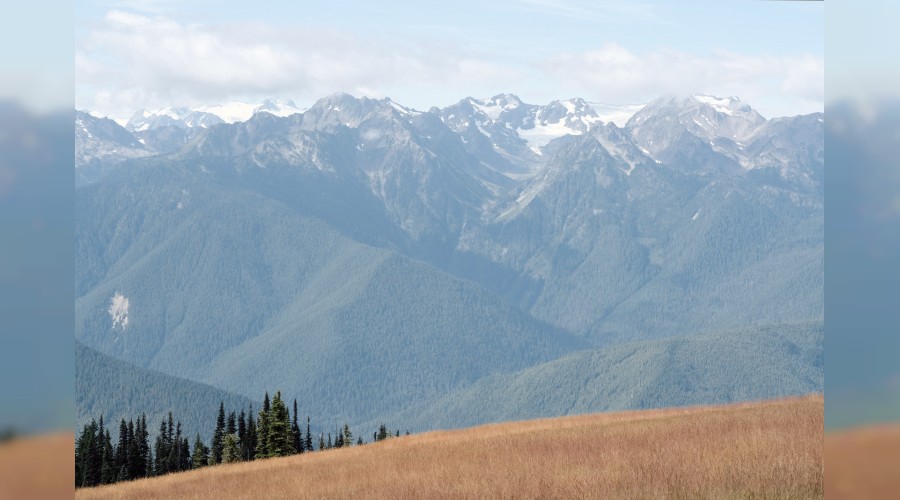 Allah’ın isimlerini öğrettikleri bilir