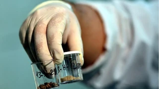 Böbrek taşında büyük yanılgı!