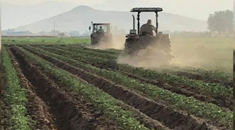 Çiftçiler sıcağa rağmen çalıştı