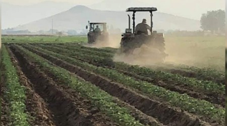 Çiftçiler sıcağa rağmen çalıştı