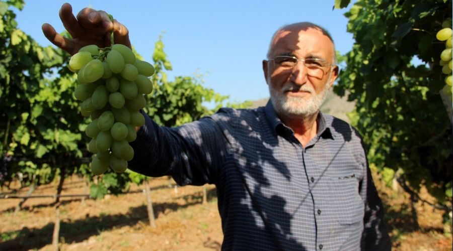 Denemek için ekti, günde 1 ton ürün alıyor