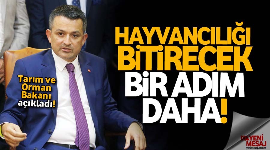 Hayvancılık sektörü büyük zarar görür