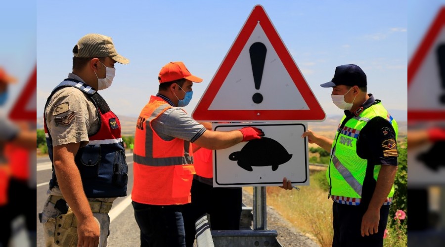 Kaplumbağalar için uyarı levhaları