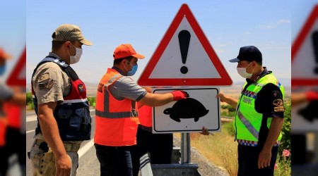 Kaplumbağalar için uyarı levhaları